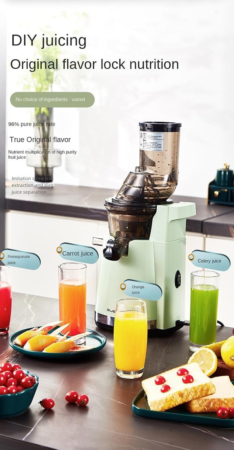 Blue Automatic Cold Press Juicer Dual Speed 96% Pure Juice Anti Drip