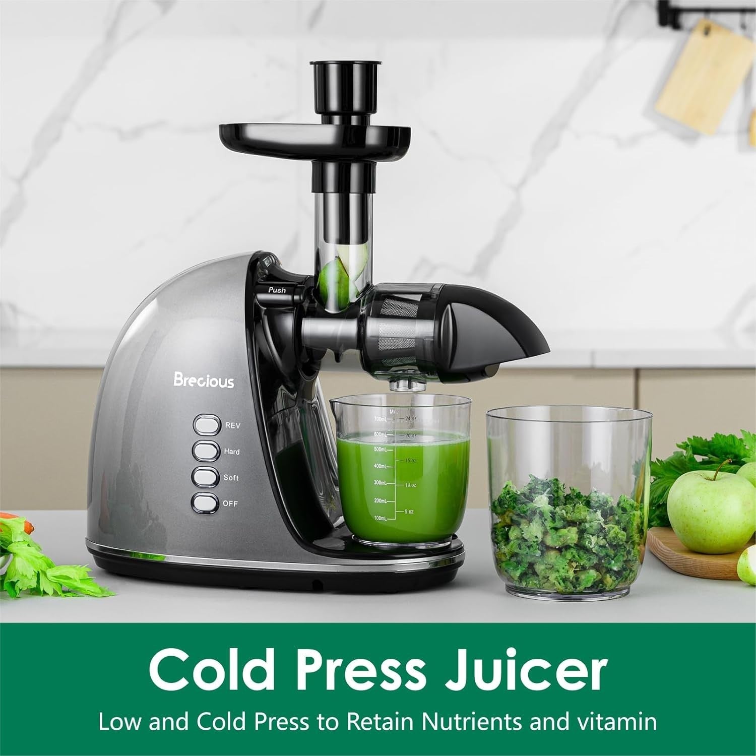 Cold Press Juicer Slow Masticating 2 Speed Quiet Reverse BPA Free
