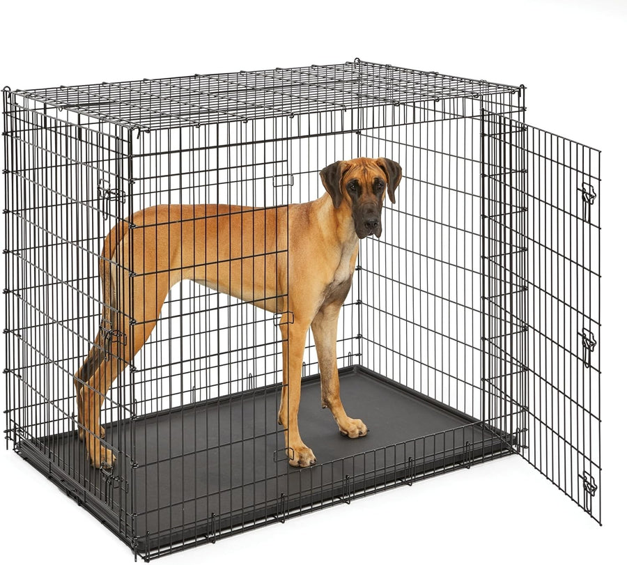 XXL Double Door Dog Crate 54” Heavy Duty Metal Cage for Great Dane Mastiff XXL B