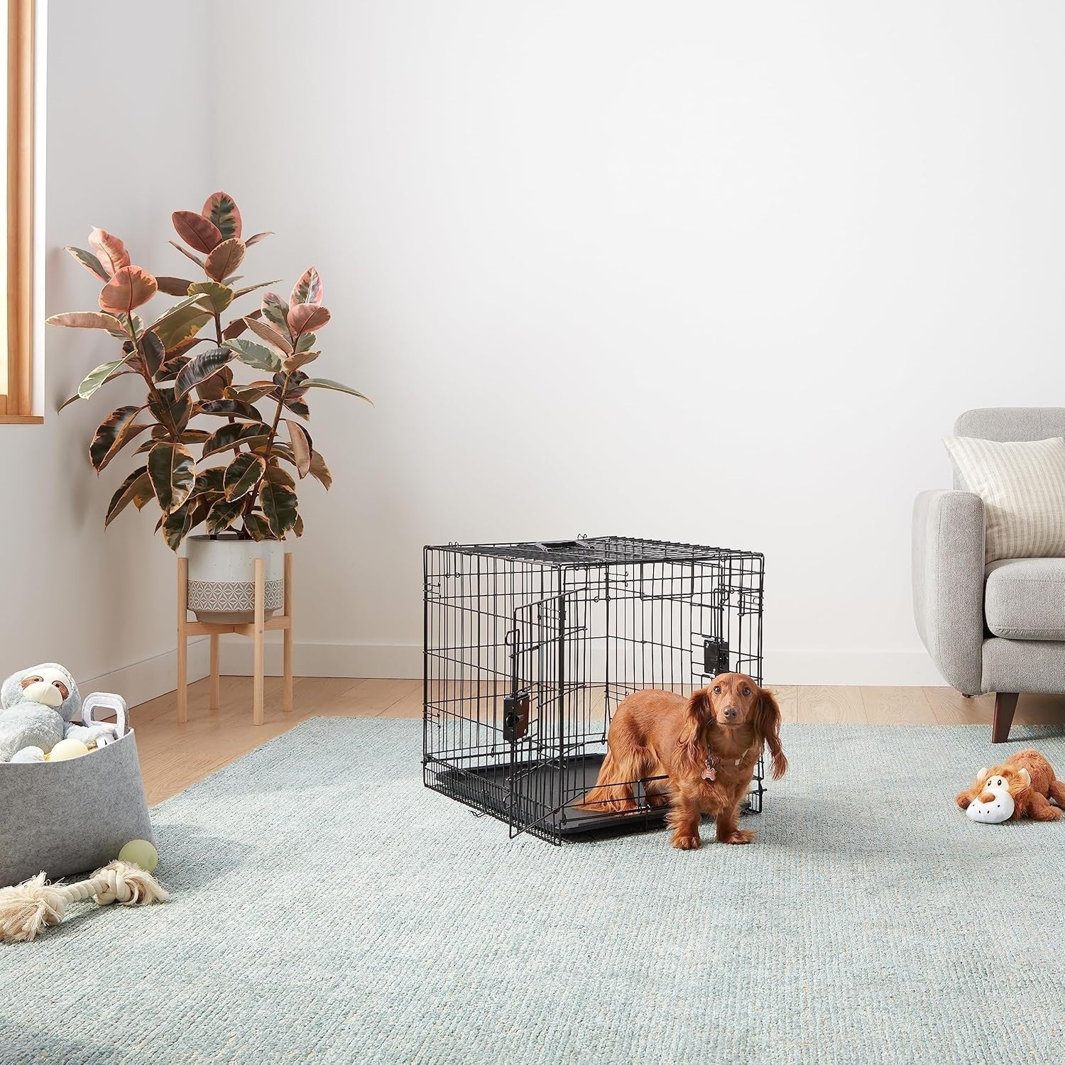 Small Foldable Double Door Metal Dog Crate Cage with Divider & Tray 61cm