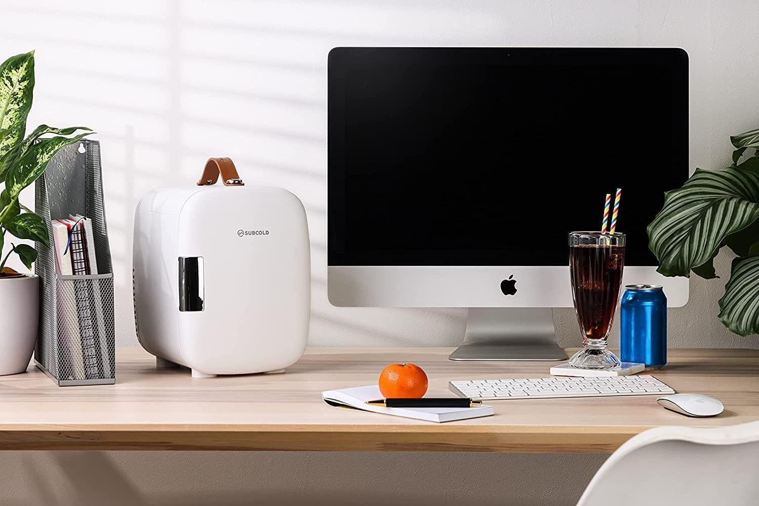 4L Mini Fridge USB & AC Powered White Portable Cooler Small