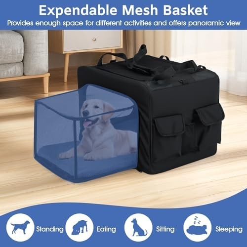 Foldable Pet Carrier Bag with Mesh, Cushion & Extendable Travel Space
