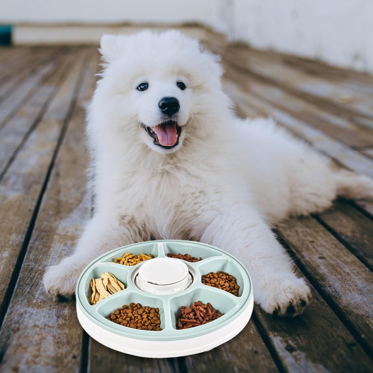 Automatic Pet Feeder 6 Meal Timer Food Dispenser Anti Slip Feeding Bowl