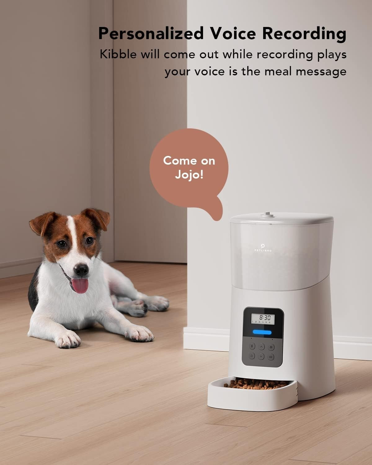 Automatic Pet Feeder 6L Auto Cat Dog Food Dispenser Timer Portion Control