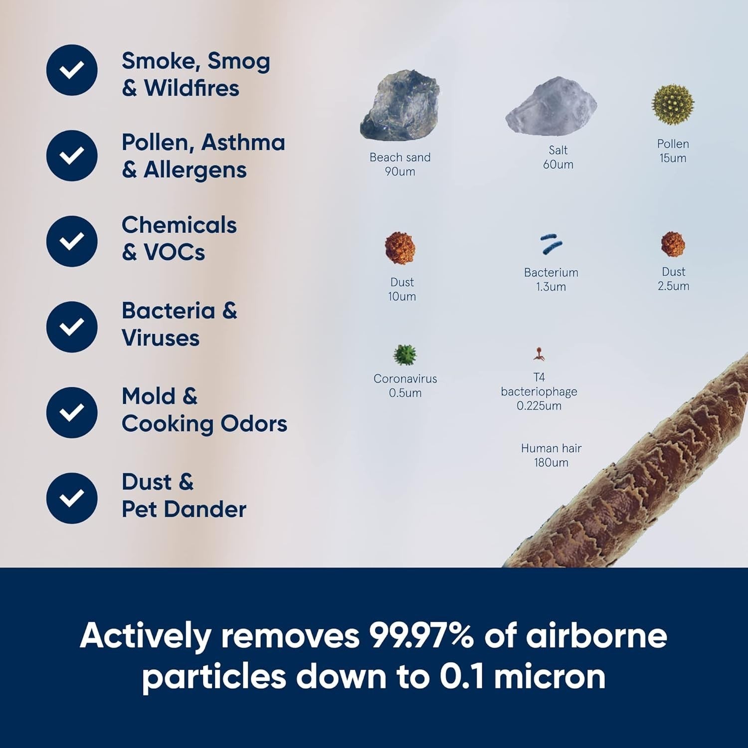 Large Room HEPA Air Purifier Ultra Quiet Auto Mode Allergy Smoke Odor