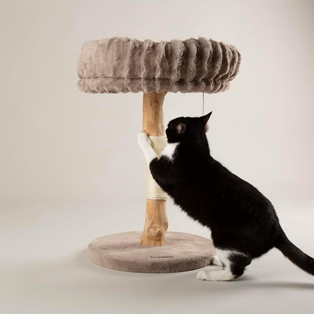 Luxury Cat Scratching Plush Bed Natural Wood Sisal Post Indoor