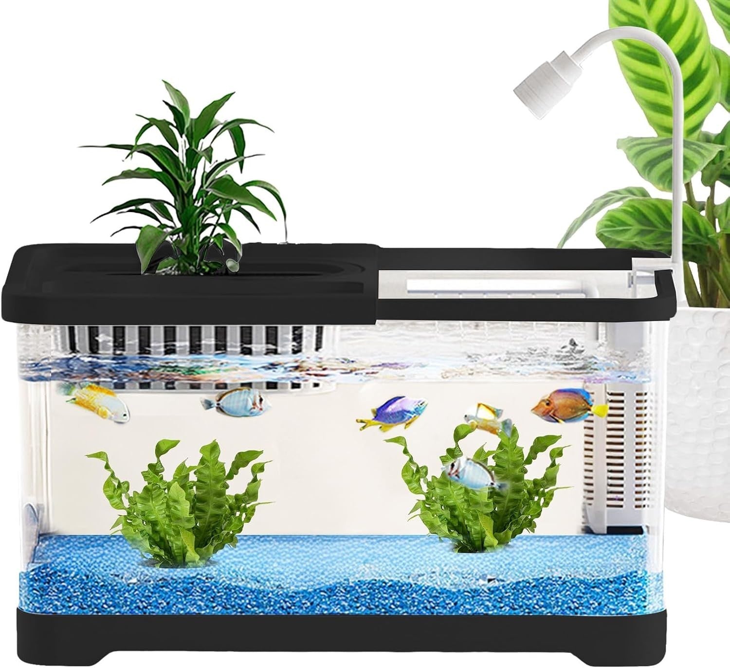 Small Betta Fish Tank with Hydroponic Basket | Desktop Aquarium Kit