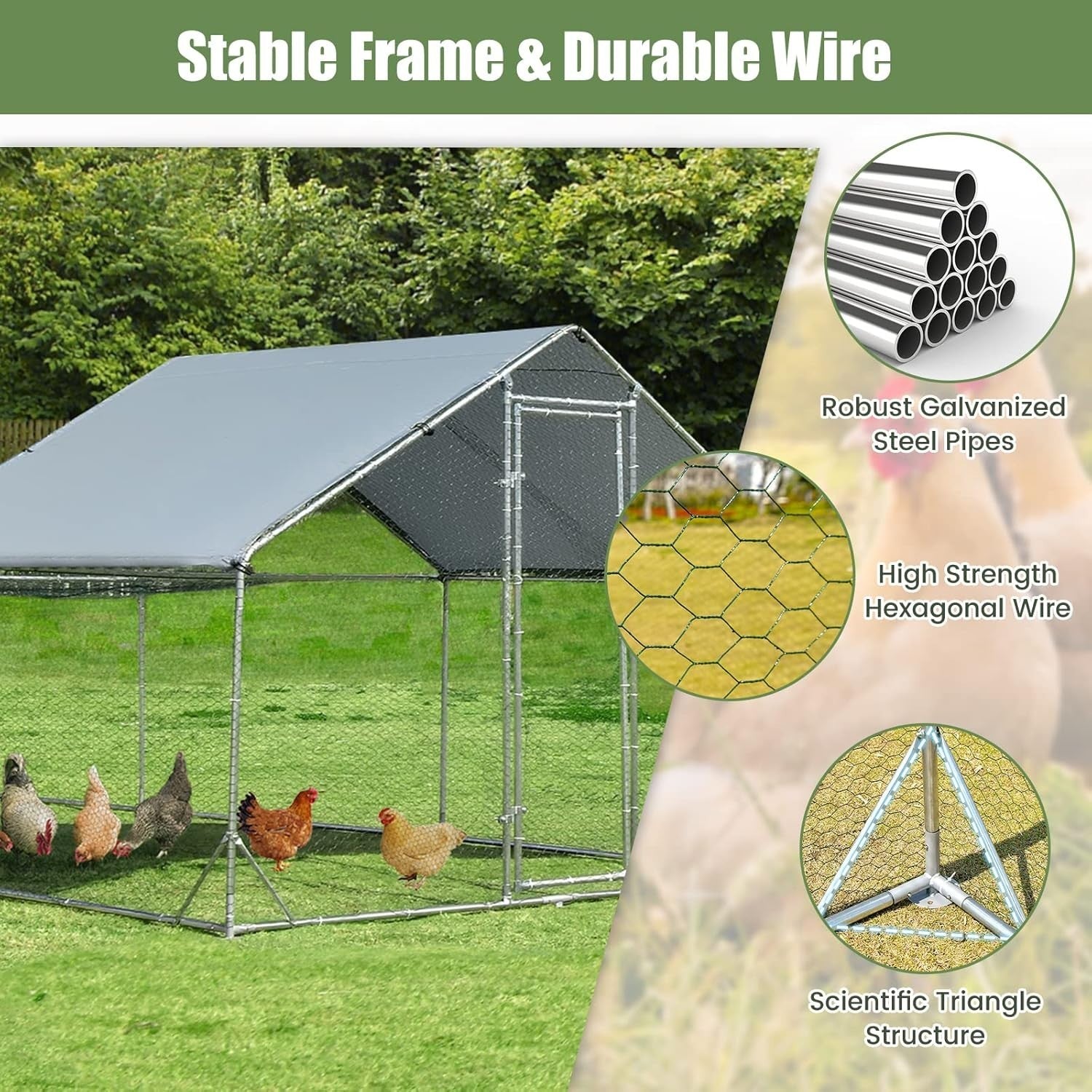 Extra Large Walk In Poultry Run Galvanised Steel Cage Waterproof Roof 6x3m