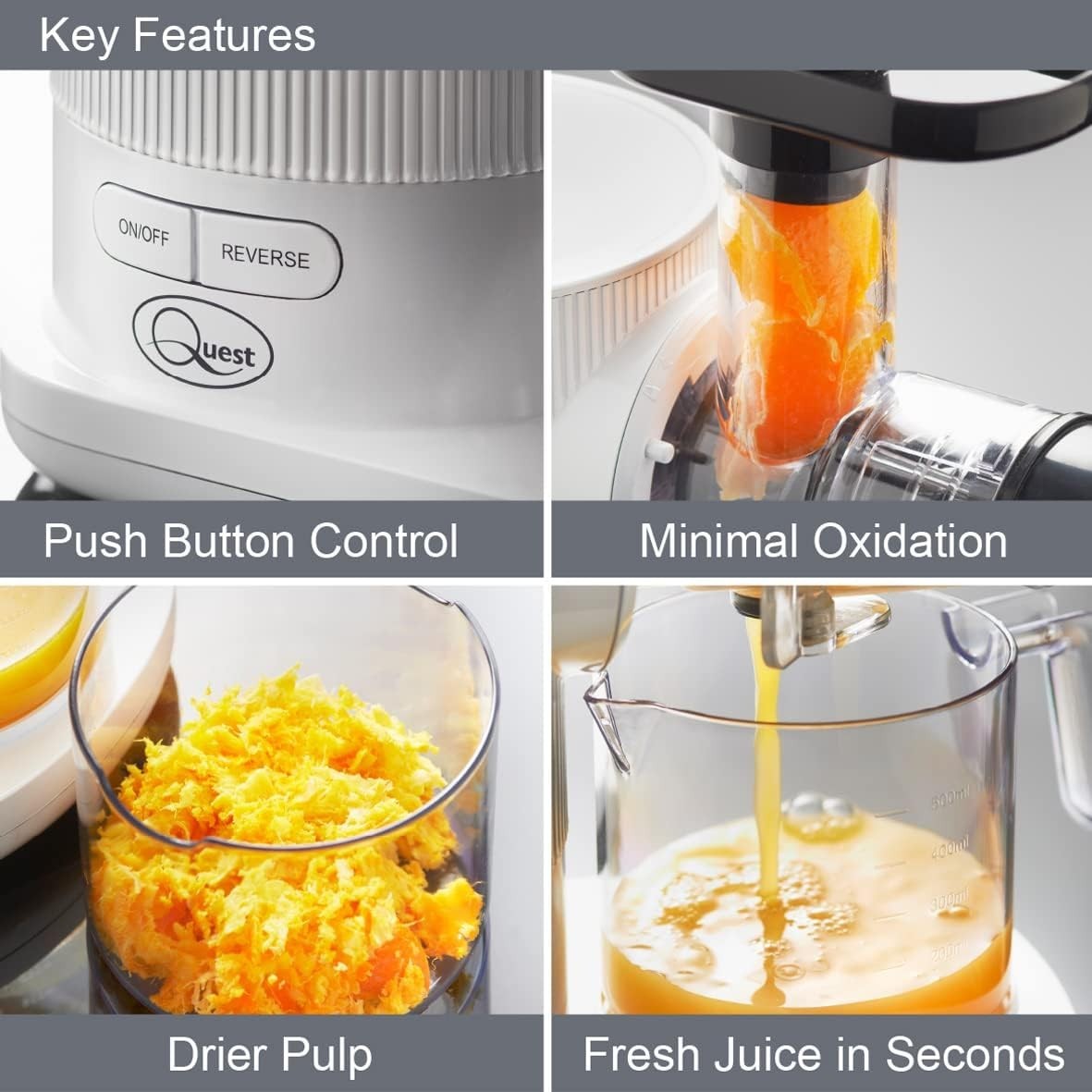 Slow Juicer Cold Press Masticating Quiet Motor  60dB 150W High Yield