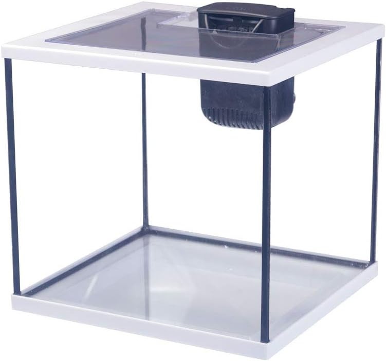 28L Cube Glass Fish Tank with LED Light & Easy Care Filter – Aquarium