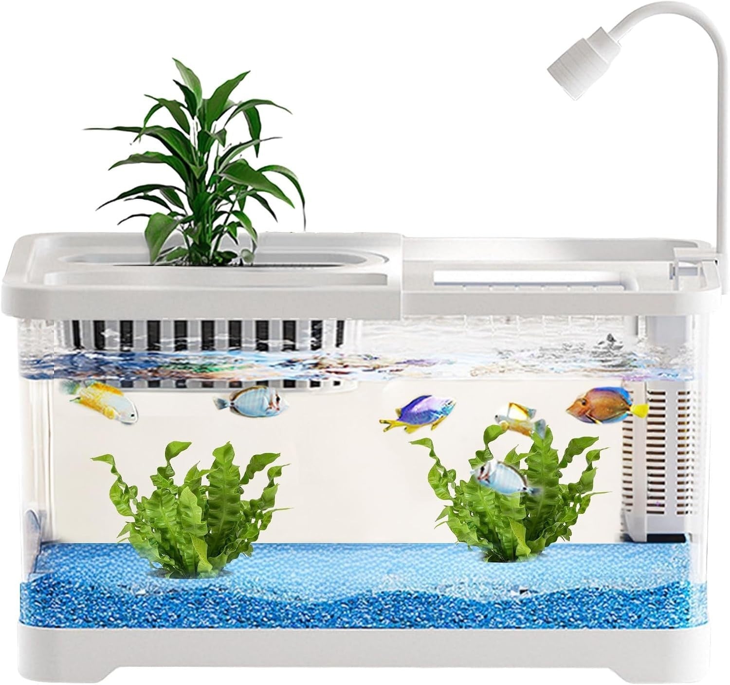 Small Betta Fish Tank with Hydroponic Basket Desktop Aquarium Kit