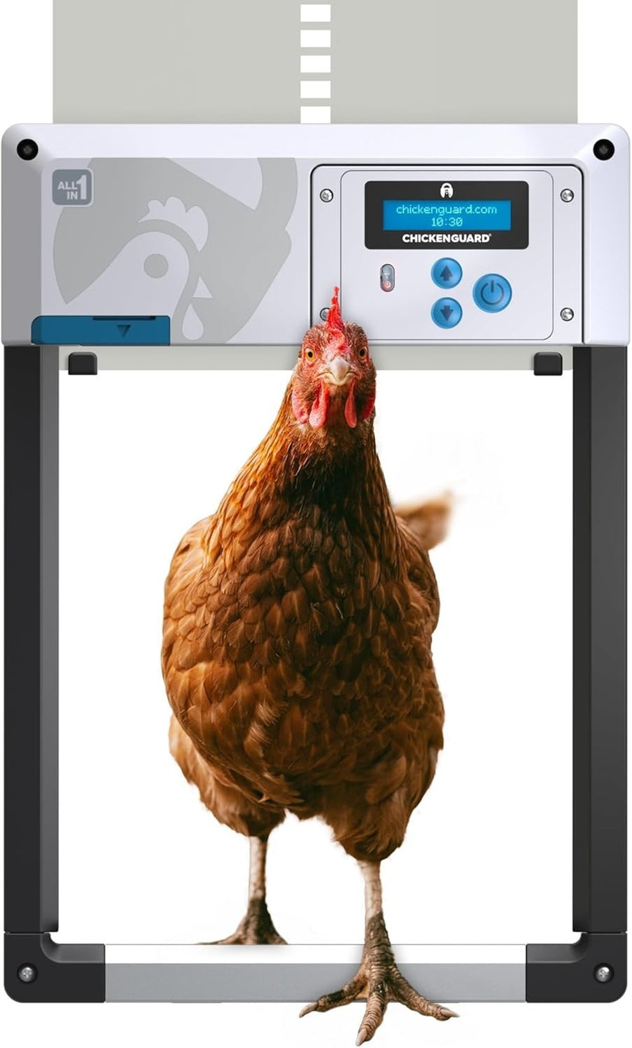 Automatic Chicken Coop Door Opener Grey Battery Timer Light Sensor Winter Mode