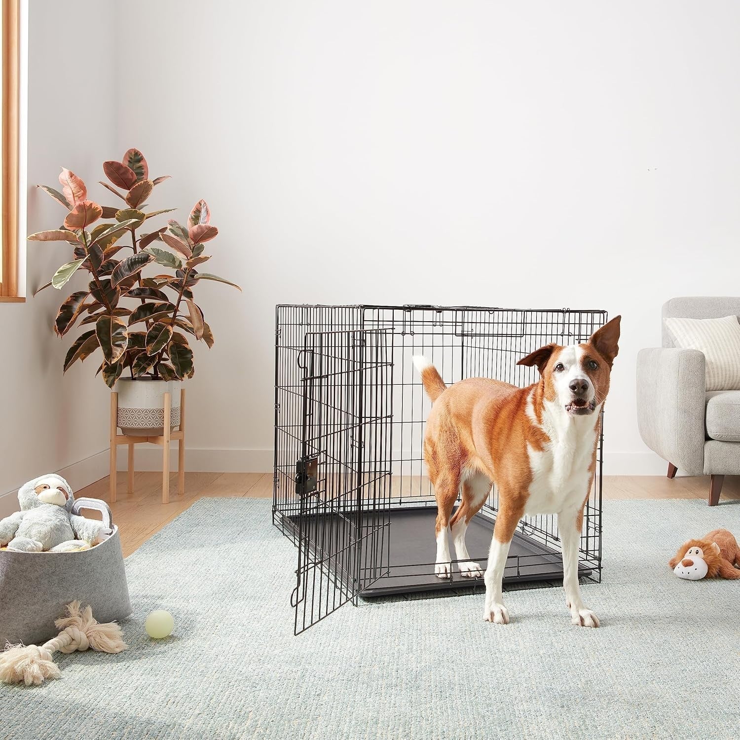 Extra Large Foldable Metal Dog Crate with Tray – Durable Single Door Cage