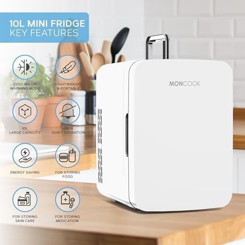 10L Mini Fridge White Portable Cooler and Warmer for Skincare Food Drinks