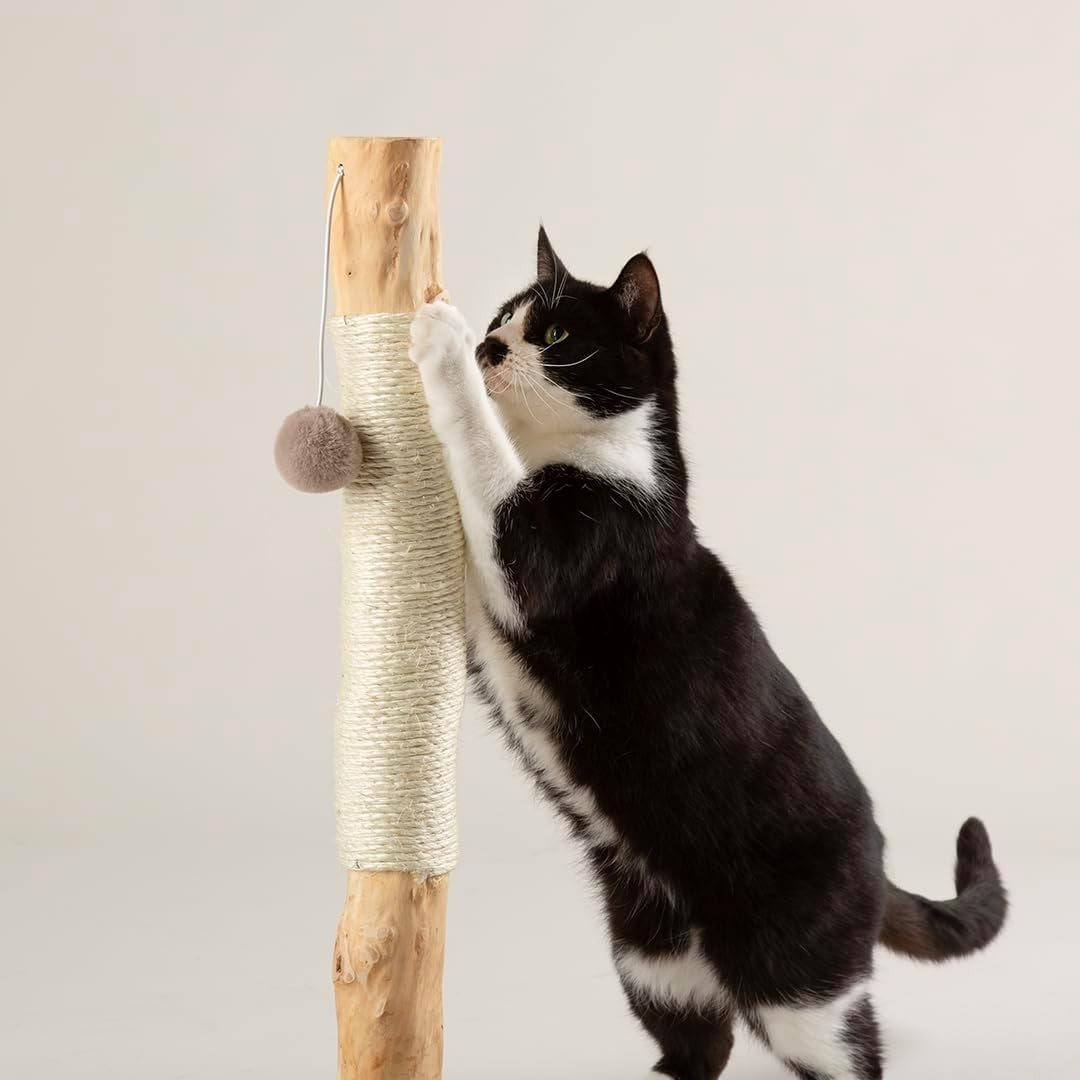 Cat Scratching Post Sisal Climbing Tower Plush Base Compact Indoor Scratcher