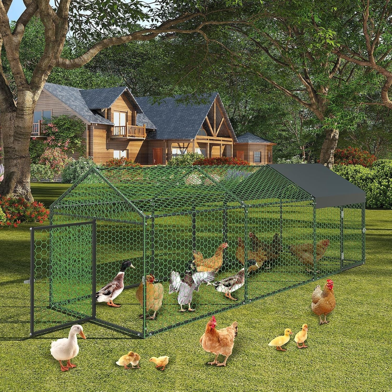 3m Walk In Chicken Run Galvanised Steel Coop 8-15 Hens
