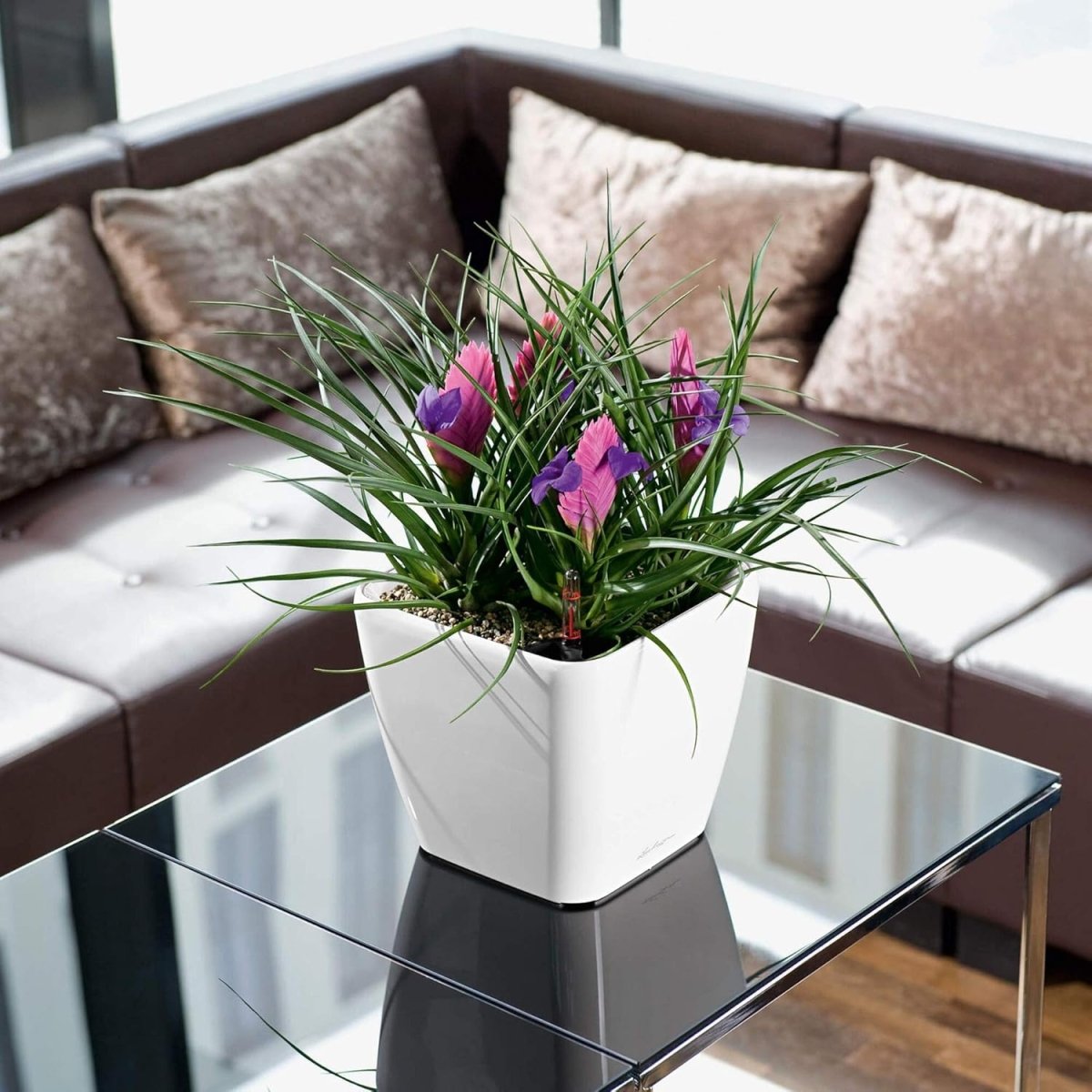 21cm Self Watering Plant Pot High Gloss Square Indoor Outdoor - Kwikley