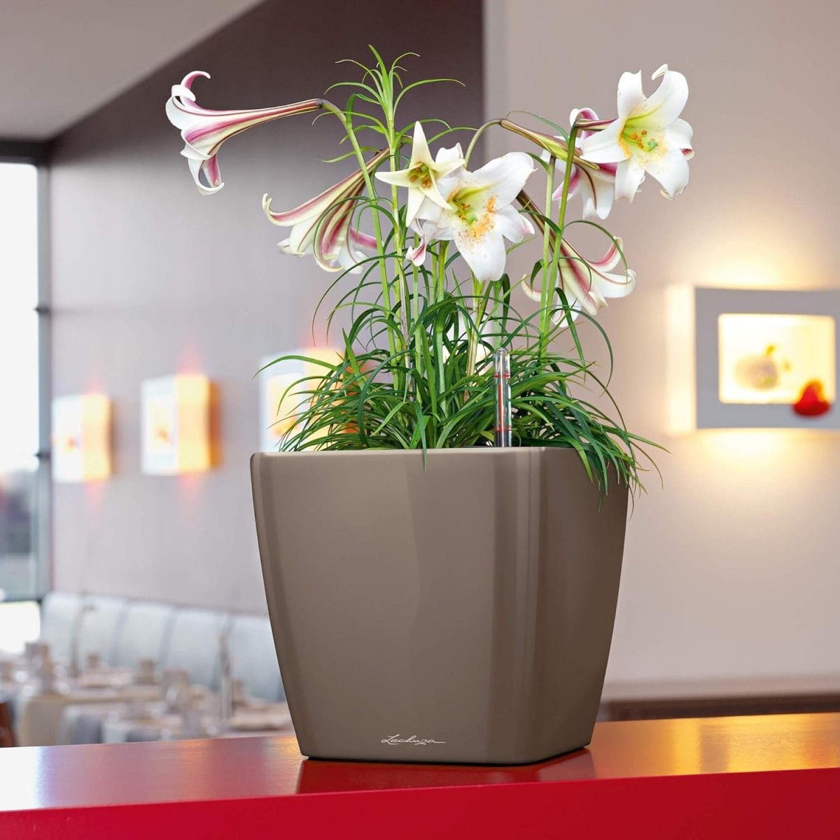 35cm Self Watering Planter High Gloss Taupe Square Indoor Outdoor - Kwikley