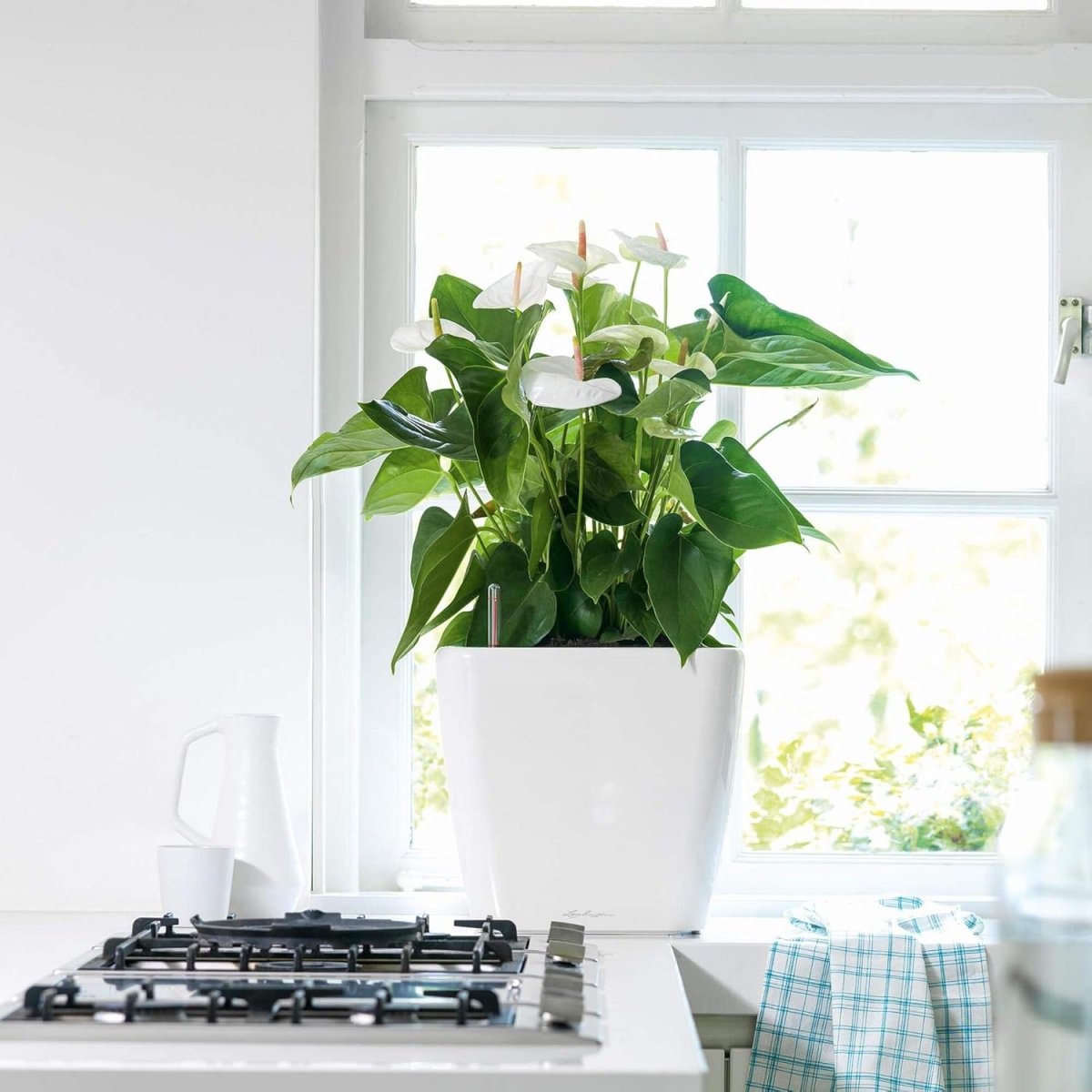 35cm Self Watering Planter High Gloss Taupe Square Indoor Outdoor - Kwikley