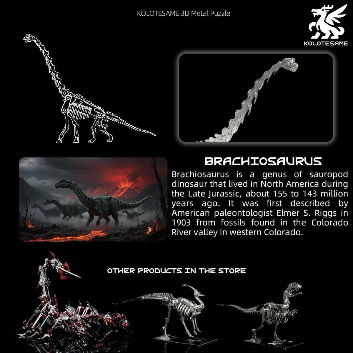 3D Metal Diplodocus Skeleton Puzzle DIY Dinosaur Model Kit Gift - Kwikley