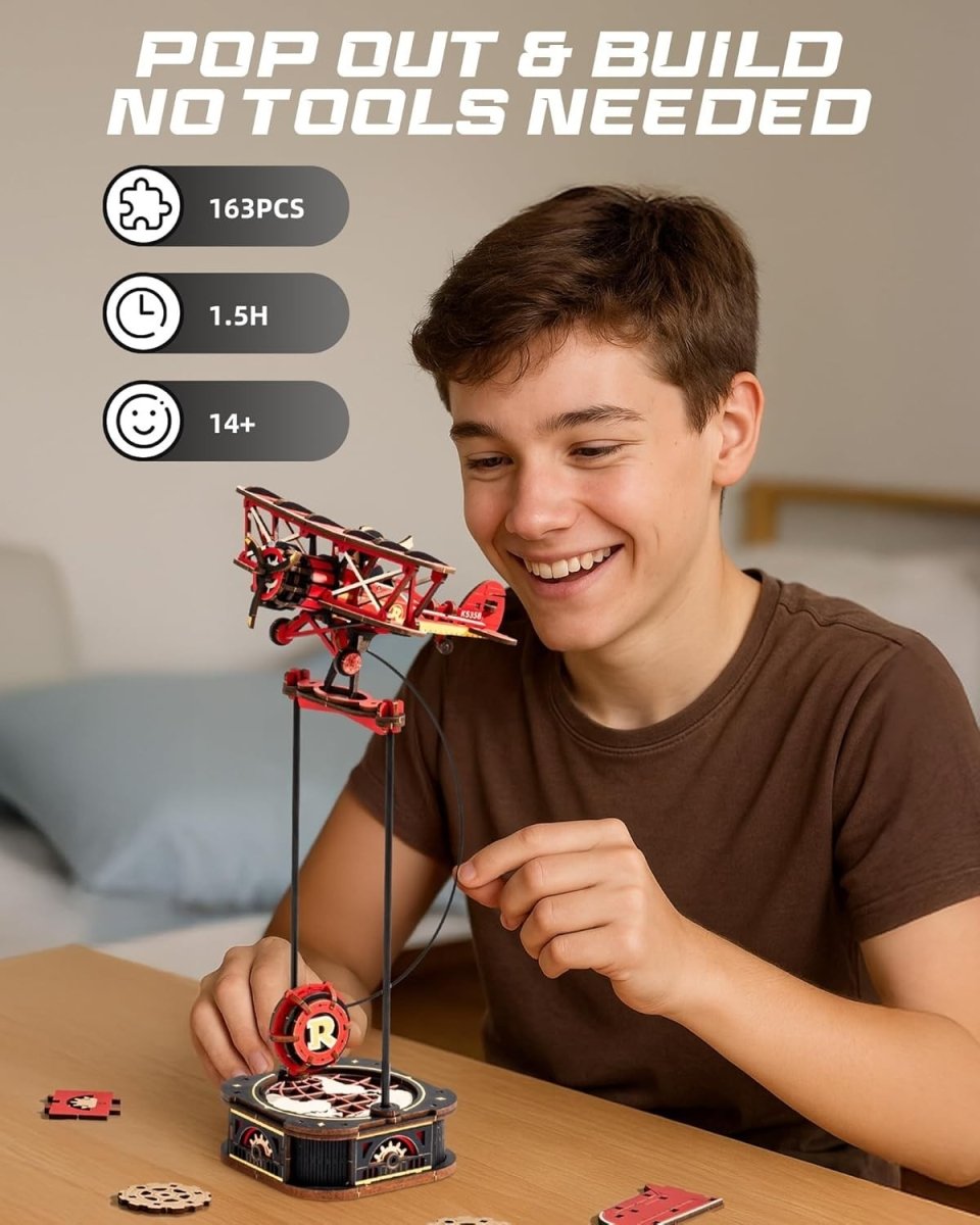 3D Wooden Airplane Balance Toy DIY Mechanical Desk Ornament Kit - Kwikley