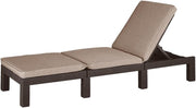 Rattan Effect Sun Lounger with Cushion Adjustable Brown