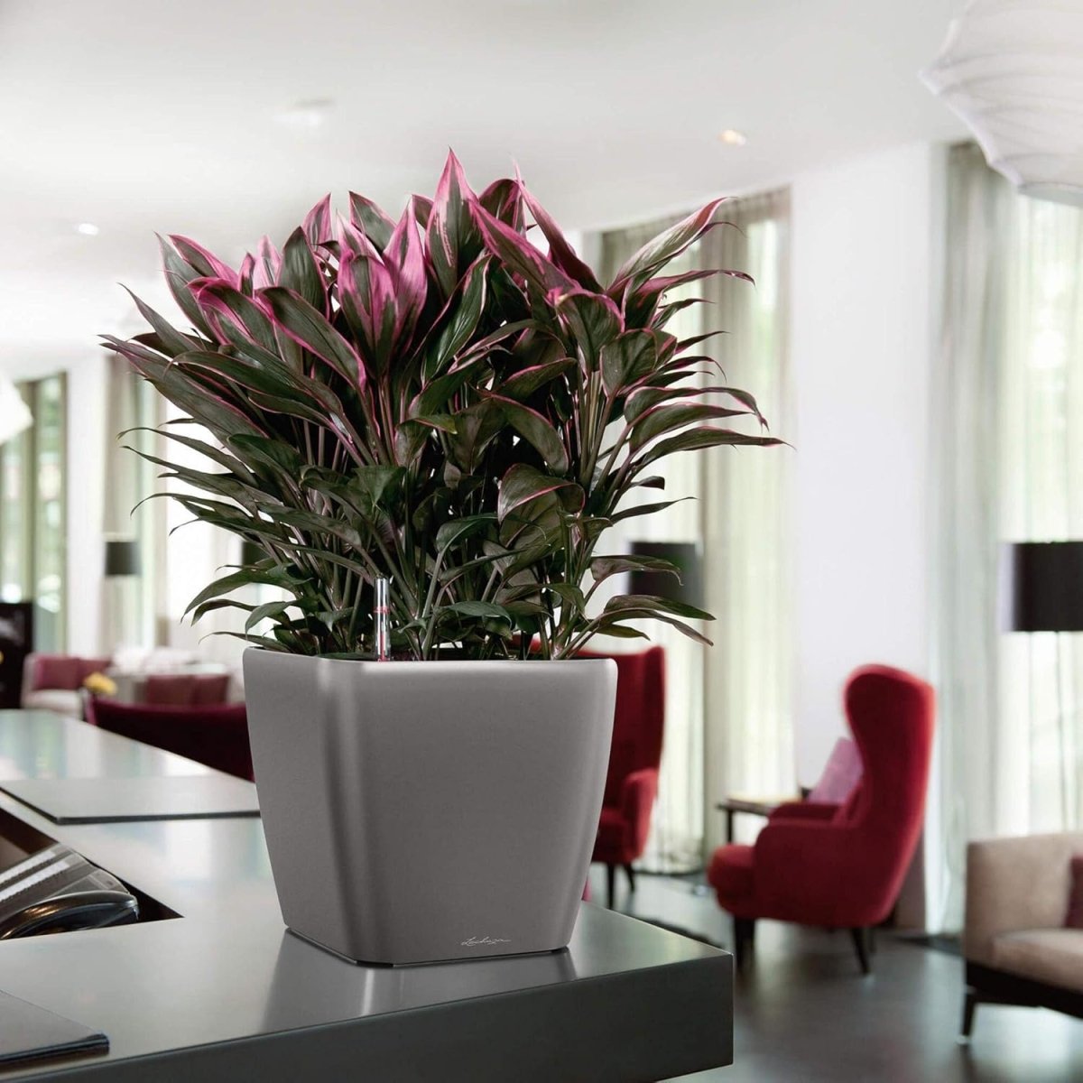 43cm Self Watering Plant Pot High Gloss Square Indoor Outdoor - Kwikley