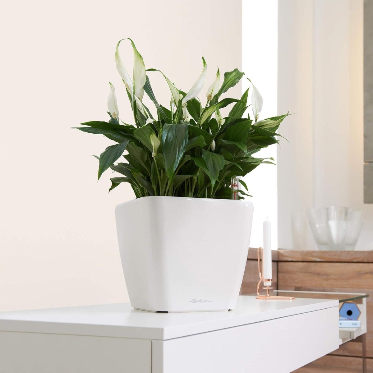 43cm Self Watering Plant Pot High Gloss Square Indoor Outdoor - Kwikley