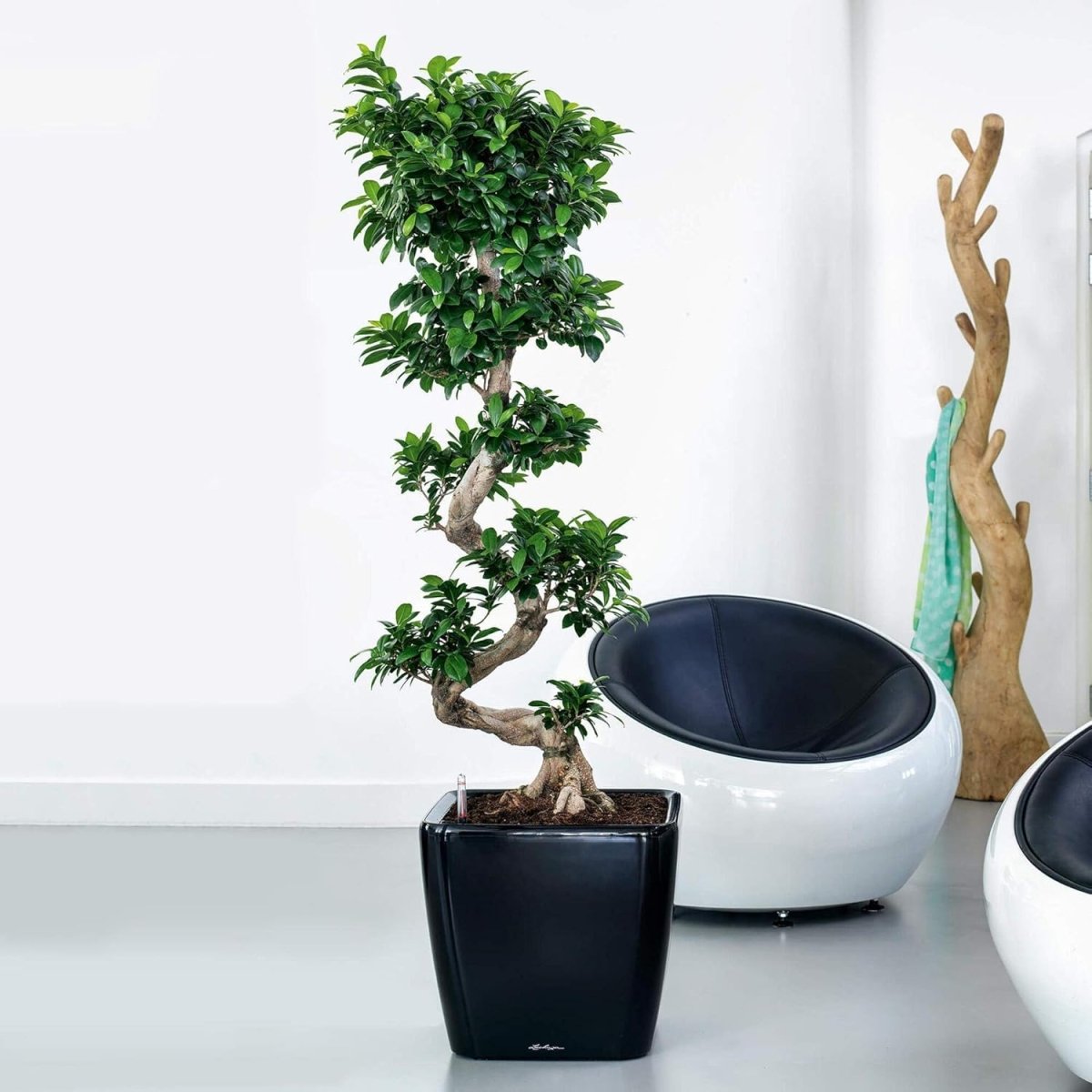 43cm Self Watering Planter High Gloss Taupe Square Indoor Outdoor - Kwikley