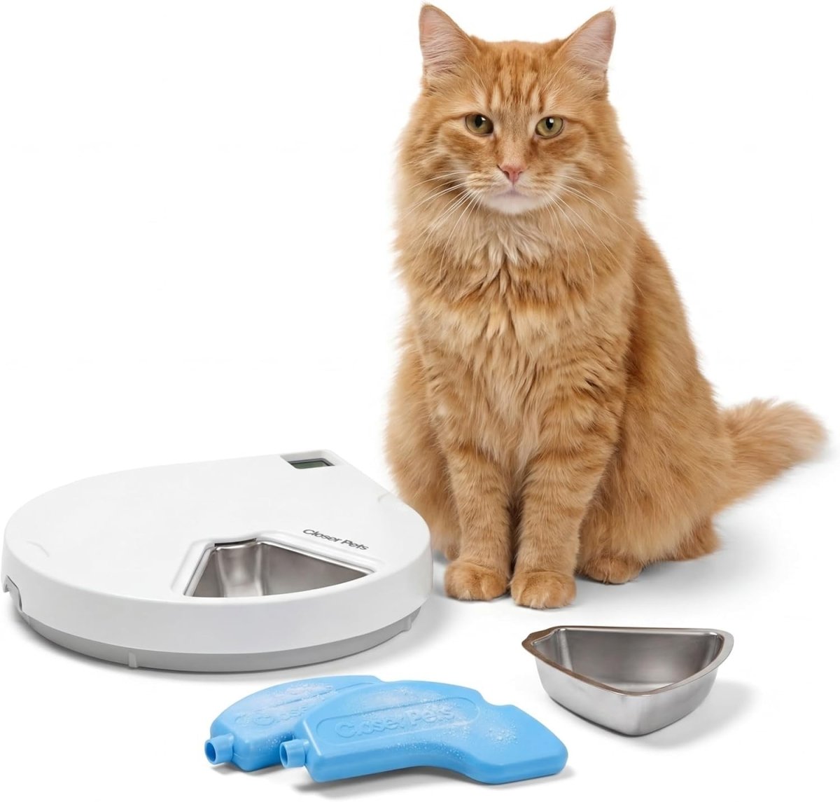 5 Meal Automatic Pet Feeder Digital Timer Stainless Steel Bowls - Kwikley
