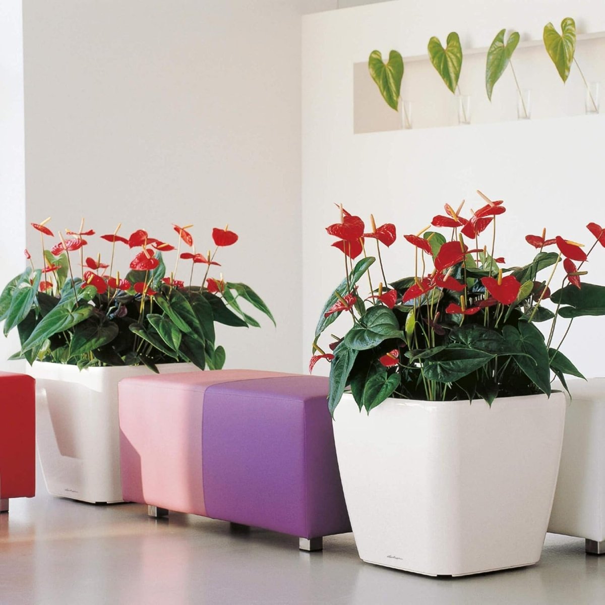 50cm Self Watering Planter High Gloss Red Large Square Pot - Kwikley