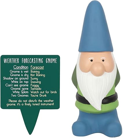 Weather Forecasting Garden Gnome 25cm Funny Outdoor Decor