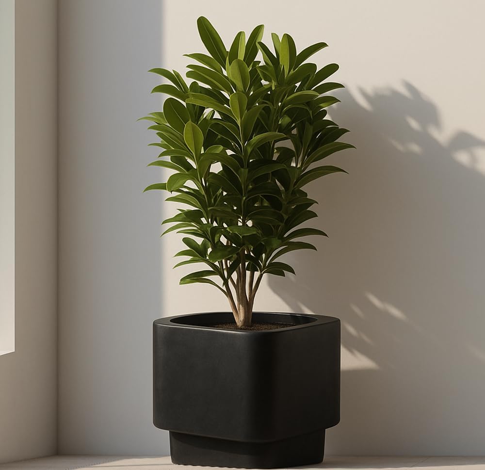 45cm Black Raised Planter Large Fibrestone Plant Pot Indoor Outdoor