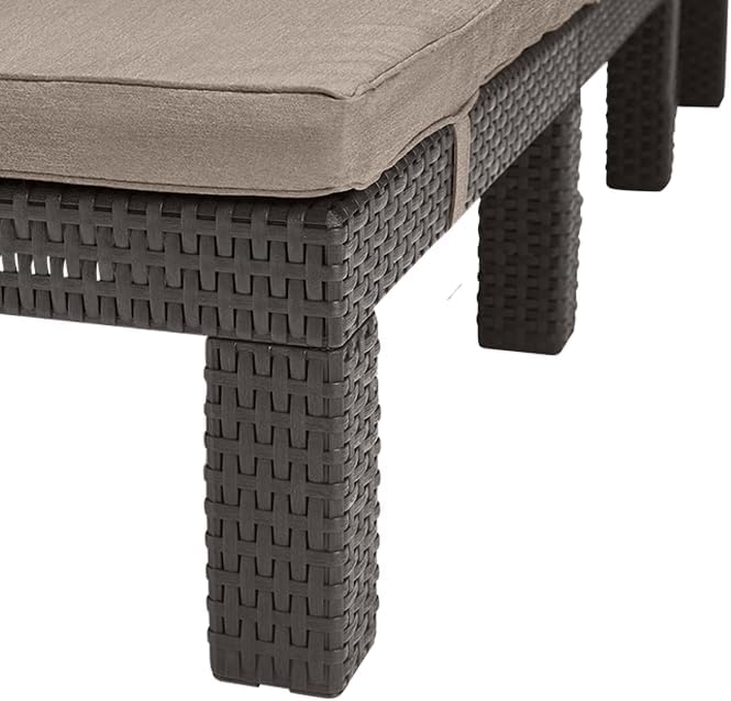 Rattan Effect Sun Lounger with Cushion Adjustable Brown