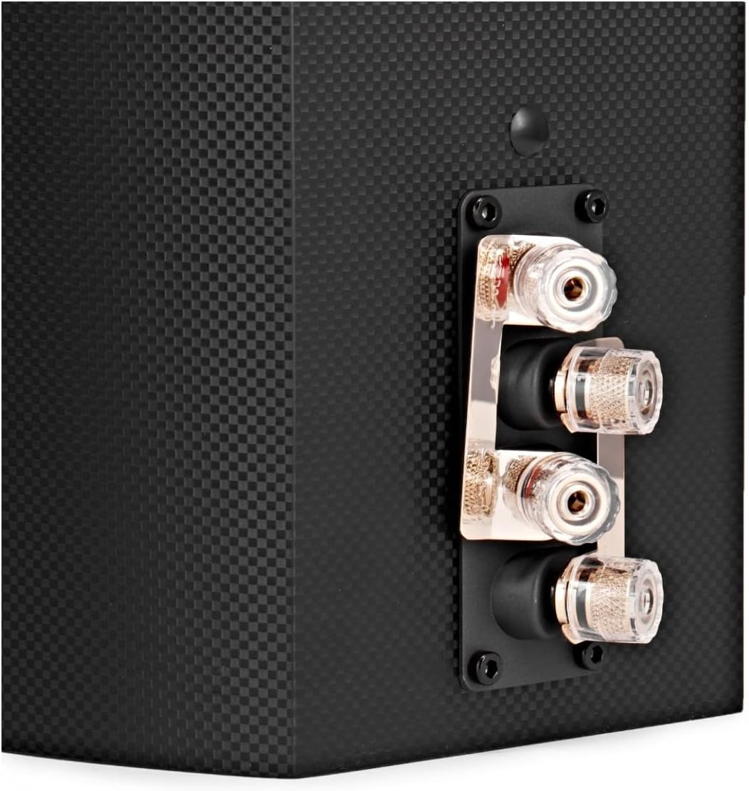 100W Bookshelf Passive Speakers Carbon Fibre HiFi Stereo Pair