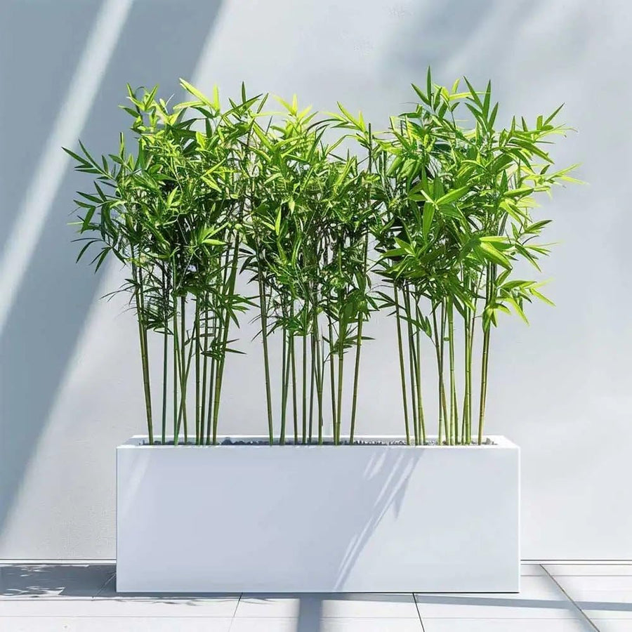 Galvanised Trough Planter 120cm Large Lightweight Outdoor Indoor White