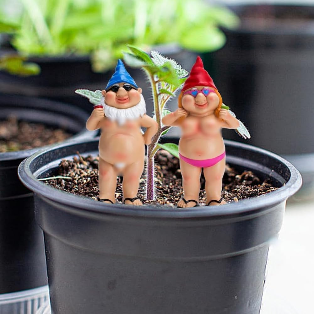 Funny Naughty Garden Gnomes Set Resin Rude Couple Ornament Decor