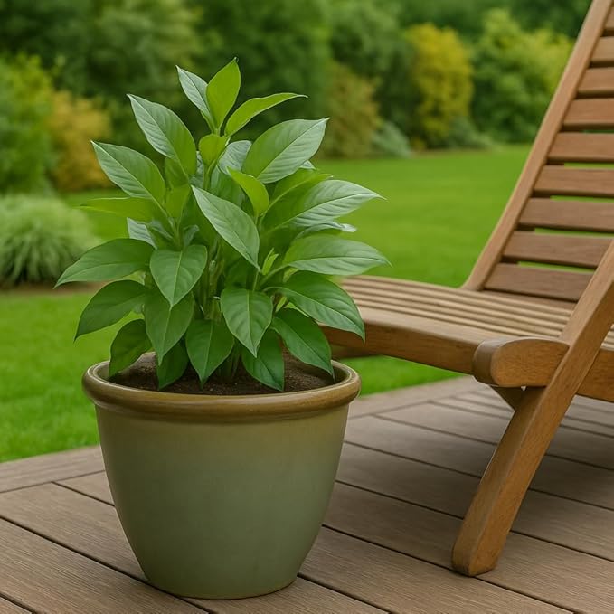 Extra Large Gloss Plant Pot 49cm Olive Indoor Outdoor Planter