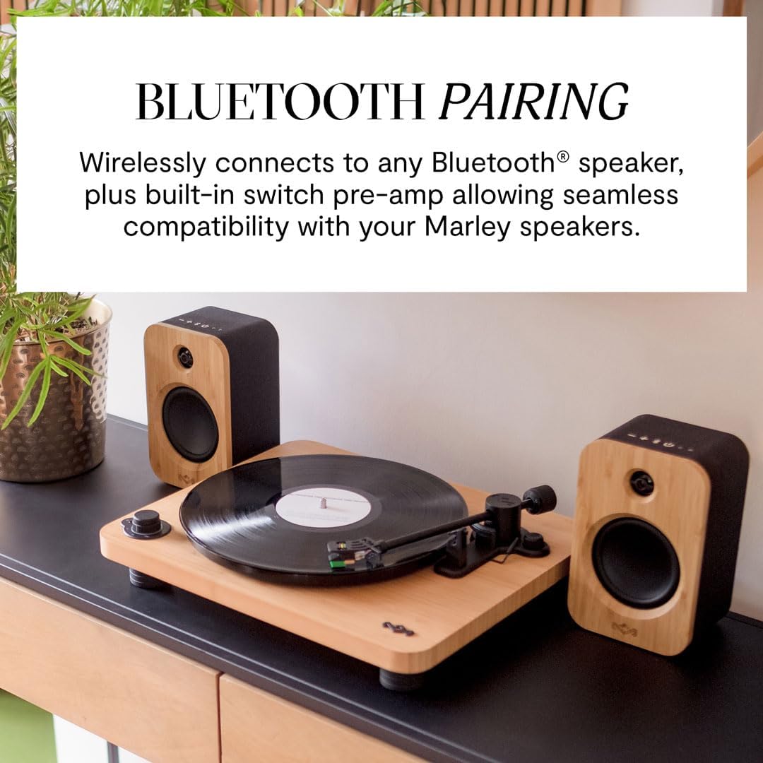 Bamboo Bluetooth Turntable Glass Platter 2 Speed