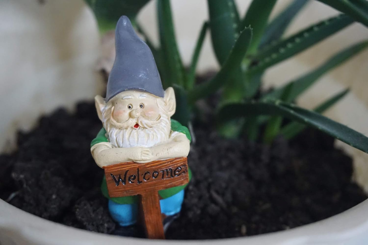 3Pcs Mini Garden Gnomes Set Fairy Resin Small Decor