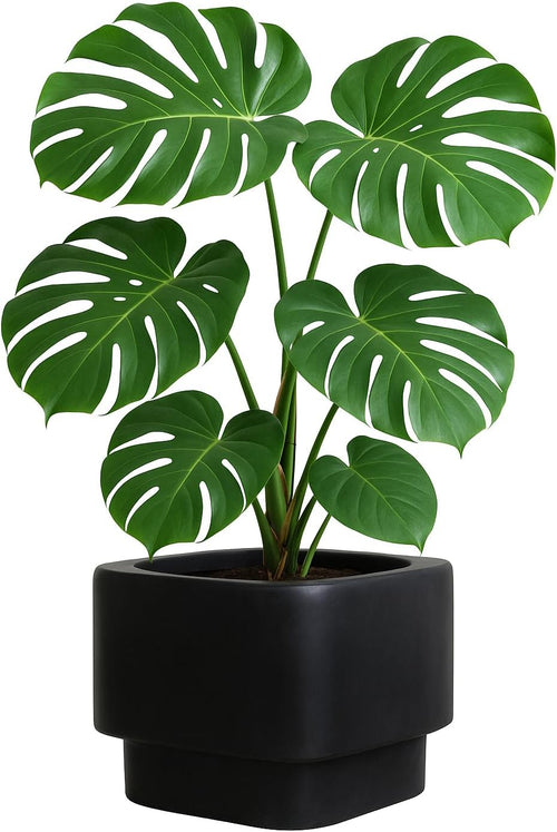 45cm Black Raised Planter Large Fibrestone Plant Pot Indoor Outdoor