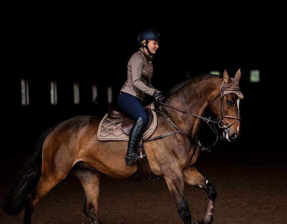 Champagne Full Jump Saddle Pad with Gloss Finish