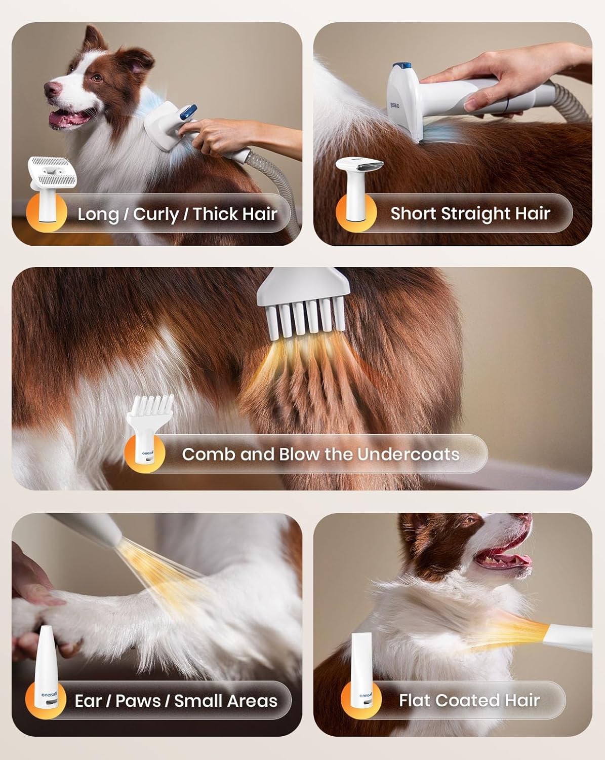 Dog Grooming Vacuum Blow Dryer Clippers 8 Tool Low Noise