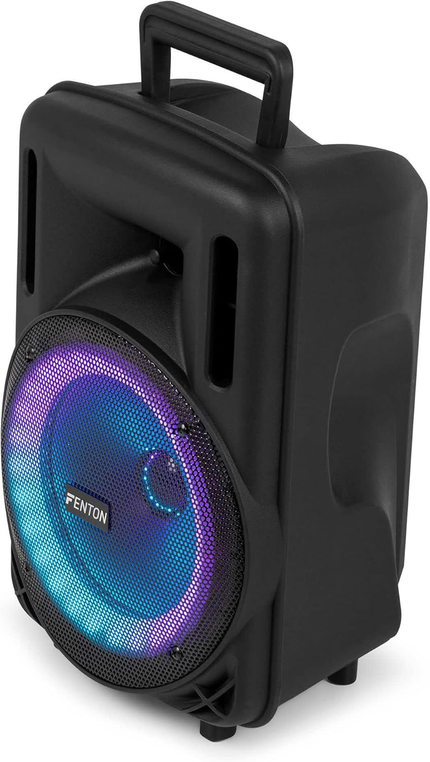 Portable PA Speaker 300W 8 Inch Bluetooth LED Wireless Mic