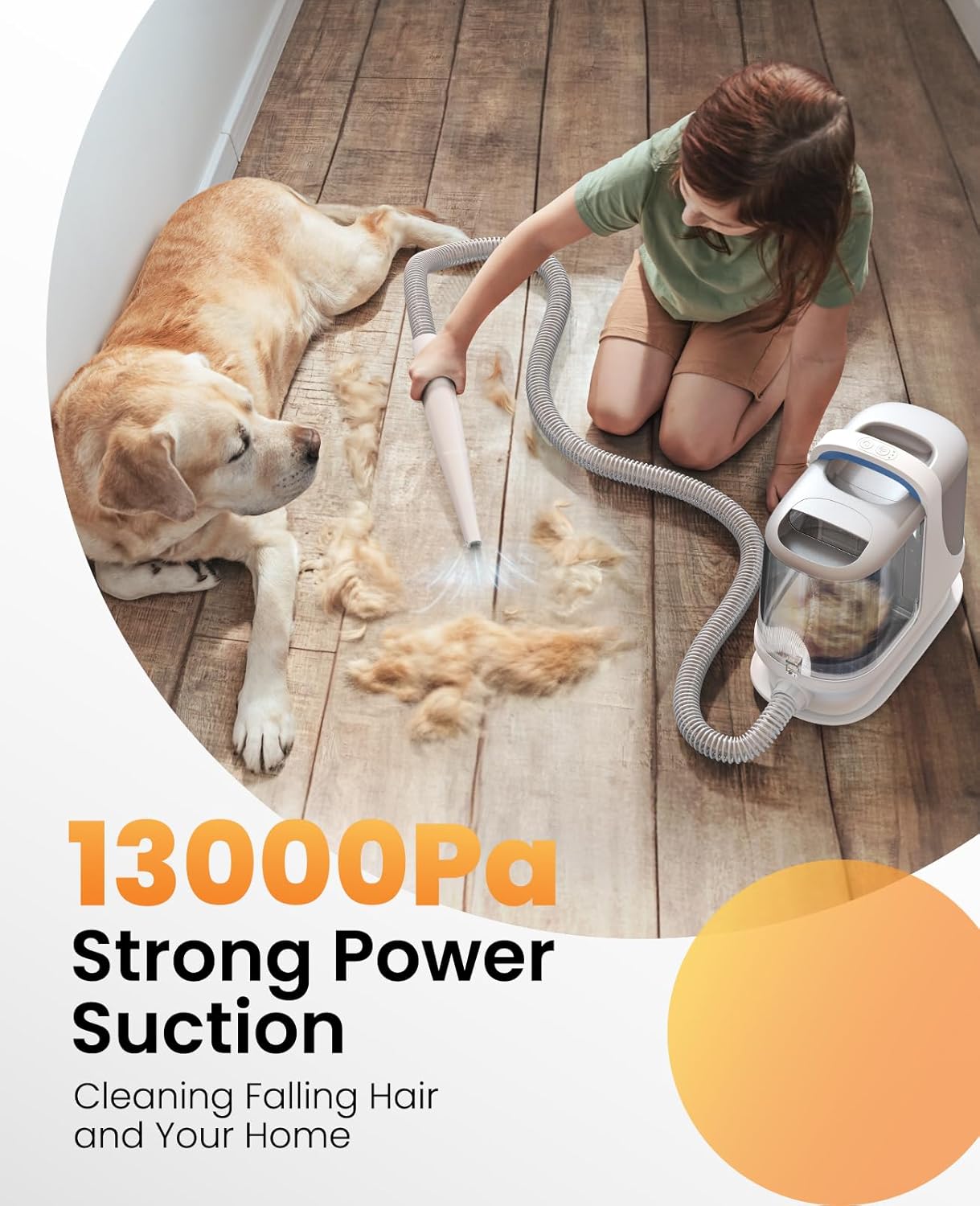 Pet Grooming Vacuum 13000Pa 3L Dog Clipper Kit Low Noise
