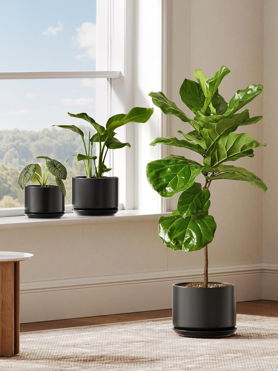 25cm Large Black Ceramic Plant Pot with Saucer Modern