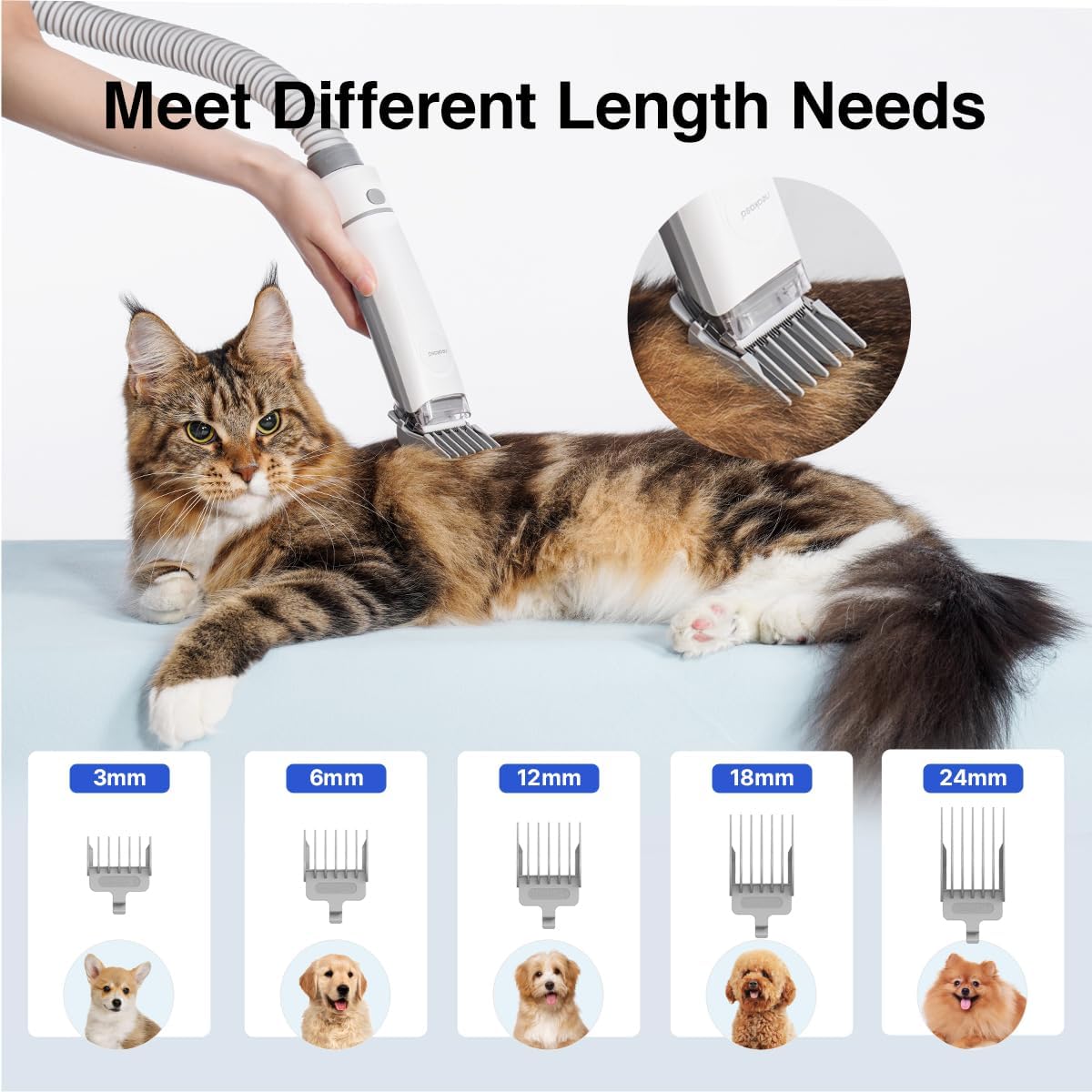 Pet Grooming Vacuum Kit 12000Pa Dog Cat Hair Remover