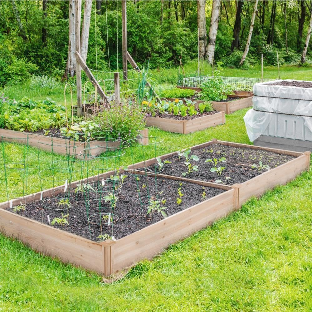 Extra Large Wooden Raised Garden Bed 241cm x 124cm