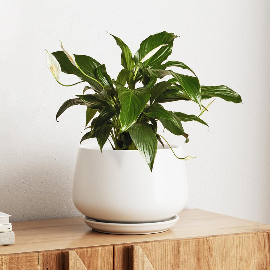 25cm White Ceramic Plant Pot Modern Planter with Drainage Saucer