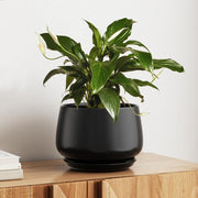 25cm Ceramic Plant Pot Black Modern Planter with Drainage Saucer